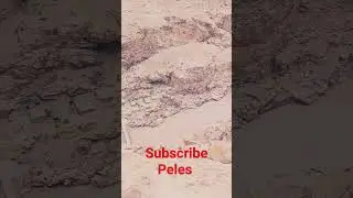 short new video😱😱#youtube #viral #new #video ❤️❤️♥️❤️❤️#kargil #trend 💫💫⭐