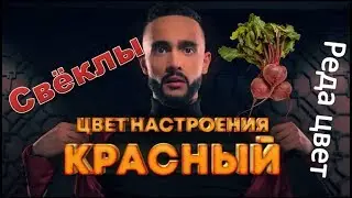 Пародия Цвет настроения Черный Кавер (Цвет настроения 