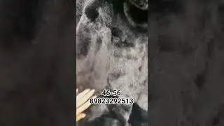 фабричный пекин новые модели Зима 2024