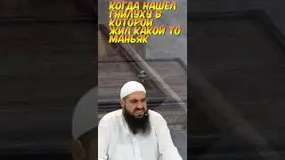 Когда нашел гнилуху в которой жил какой то маньяк  #rust  #shorts  #shortvideo