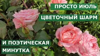 СЕКРЕТИК ОТ ДАЧНОГО СЧАСТЬЯ. МОЯ ПОЭТИЧЕСКАЯ МИНУТКА. 19. 07.23г.