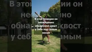 Разочарованный. Мудрая притча #shorts