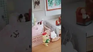 Clean my desk with me