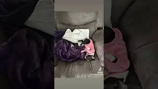 Upside Down Doggie 