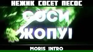 Нежик лоххххххх