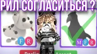 трейды на фр далматинца 😘💋