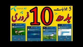 10 Feburary 2021 Telenor Questions And Answers|Today My Telenor App Questions|10Feb 2021Telenor quiz