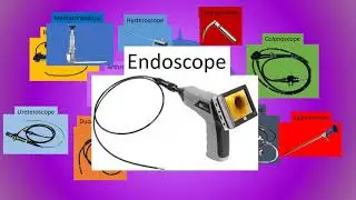 Endoscopes - The Physics Behind It