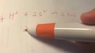 Net Ionic Equation (1/2)
