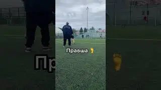 Яка нога?
