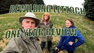 Rewilding Lettoch -One Year Walkabout
