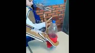 Экзоскелет из картона)