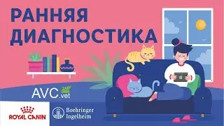 Ранняя диагностика ХБП.