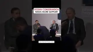 Ocean Conservation Needs More Support