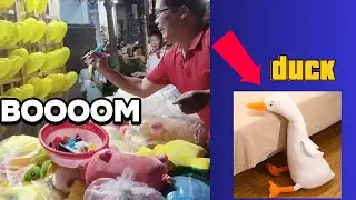 Buổi đi chơi trò bóng bay và kết quả vịt gấu bông 