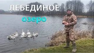ОЗЕРО БУМАЖНОЕ что дальше