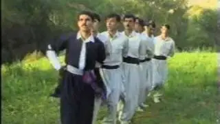 reza bakhtiyari