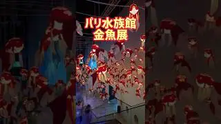 パリ水族館で金魚展