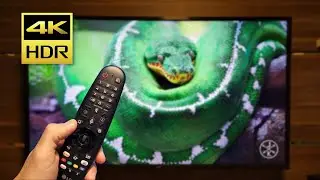 SMART TV LG - Melhor configuração de imagem para 4K HDR