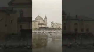 Rain