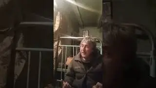 последняя песня волка