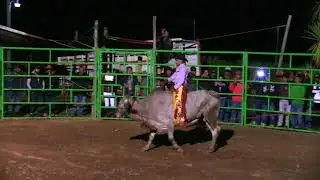 San Jeronimo Zoochina 2018-Jaripeo