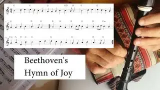 Beethoven´s Hymn of Joy 04#sopranorecorder #easy #learning #music #songs