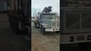 I just bought a log truck! #shorts