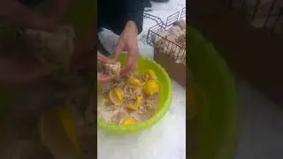 Новогодний шашлык. Барбекю, лимон , уголек. Укладываем мясо в барбекю