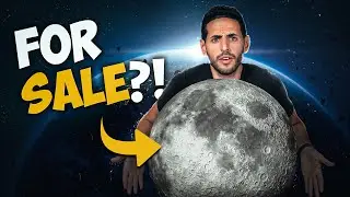 5 of the craziest things you can buy