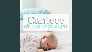 Cantece de Adormit Copii