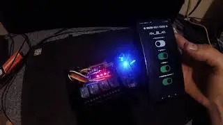 BMW ESP remote control relay Android