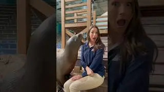Maia’s goat impression is unmatched