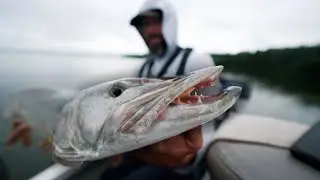 EPIC Eagle Lake MUSKY (Insane Eat!)