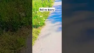 Всё по факту...| База| Everything is in fact. Base