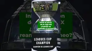 ¿Por qué habrá un parón en el Apertura 2024 de la Liga MX?  