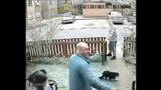 CCTV - Pit Bull kills cat in its yard while scum owner watches: (