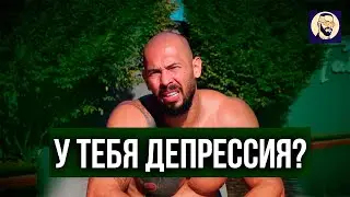 КАК ПОБЕДИТЬ ДЕПРЕССИЮ советы психолога Эндрю Тейта в переводе Грома
