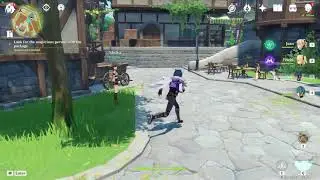 Genshin Impact | Look for the suspicious person with the package | Found