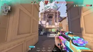 Valo montage (Dirty little animals)