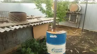 Содержание свиней в домашних условиях