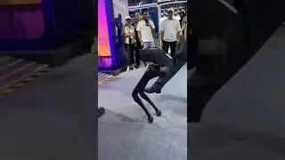 Robots Don't Find it Easy At All in 2024