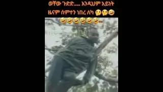 funy in Ethiopia