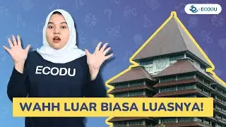 INI DIA 5 PTN PALING LUAS DI INDONESIA!
