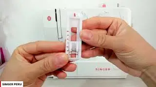 🔴 Promise 1412 - Taller Exclusivo SINGER 29/08/24