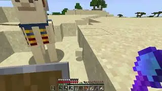 Hardcore Museum, Ep. 11
