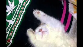 my weed !