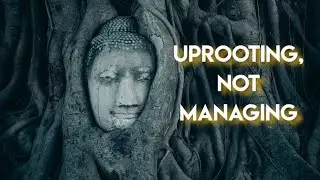 Uprooting VS Management of Dukkha