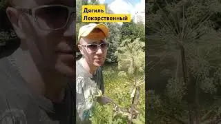 13 июля 2024 г.