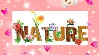 Nature beauty #birds #birdsounds #flowers #flower